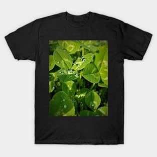 Clover Droplets T-Shirt